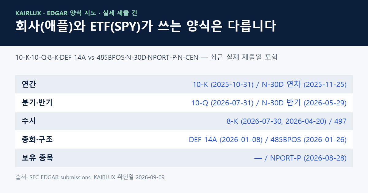 애플과 SPY의 EDGAR 양식 지도